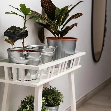 San Juan Fresh Flat * تيلدي